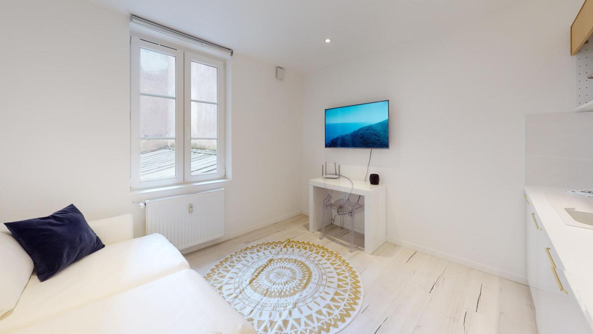 Appartements Modernes Avec Veranda Страсбург Екстер'єр фото